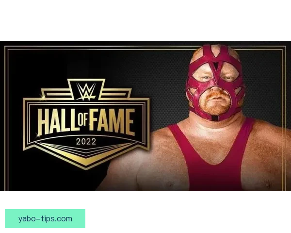 历史传奇再续 Shams：罗德曼跨界入选WWE名人堂篮球荣誉双辉煌