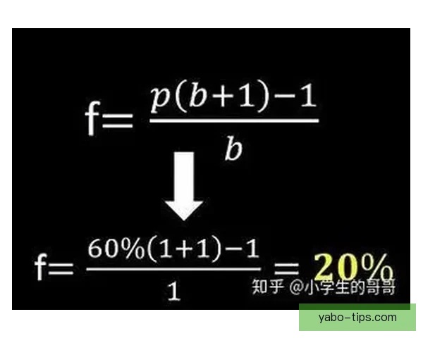 体育竞猜赔率解析与策略探讨助你提升投注准确性和获胜概率